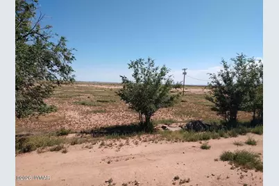 9656 Woodruff Hay Hollow Road, Snowflake, AZ 85937 - Photo 5