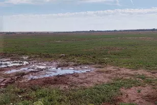 9656 Woodruff Hay Hollow Rd, Snowflake, AZ 85937 - Photo 29