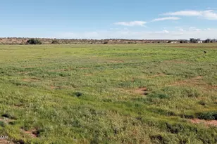 9656 Woodruff Hay Hollow Rd, Snowflake, AZ 85937 - Photo 3