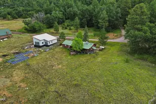 127 Lakeview Ct, Happy Jack, AZ 86024 - Photo 43