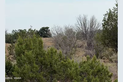 1037 Mira Road, Unit #6, Heber, AZ 85928 - Photo 13