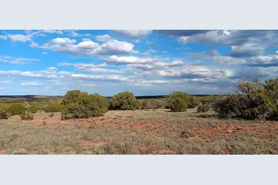 9730 Texas Lane, Show Low, AZ 85901 - Photo 5