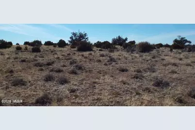 Tbd Parcel 107-52-046, Concho, AZ 85924 - Photo 9