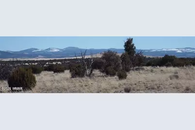 Tbd Parcel 107-52-046, Concho, AZ 85924 - Photo 5