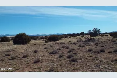 Tbd Parcel 107-52-046, Concho, AZ 85924 - Photo 11