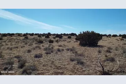 Tbd Parcel 107-52-046, Concho, AZ 85924 - Photo 3