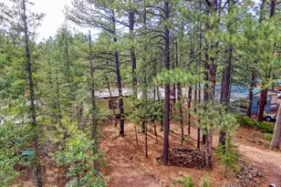3690 Mark Twain Dr, Pinetop, AZ 85935 - Photo 3