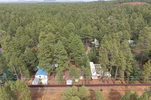 3690 Mark Twain Dr, Pinetop, AZ 85935 - Photo 23