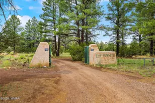 2333 Dovetail Trail, Overgaard, AZ 85933 - Photo 37