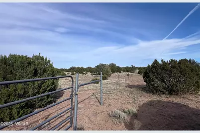 Lot 93 N8492, Concho, AZ 85924 - Photo 9