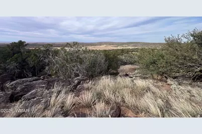 Lot 93 N8492, Concho, AZ 85924 - Photo 37