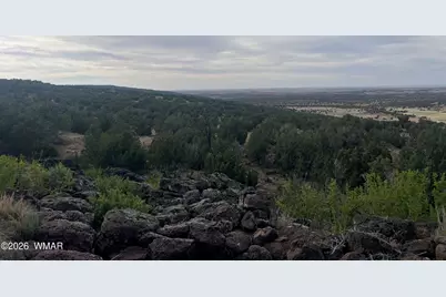 Lot 93 N8492, Concho, AZ 85924 - Photo 19