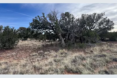 Lot 93 N8492, Concho, AZ 85924 - Photo 23