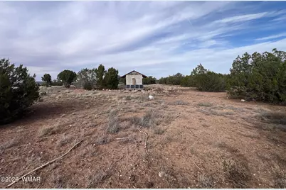 Lot 93 N8492, Concho, AZ 85924 - Photo 3