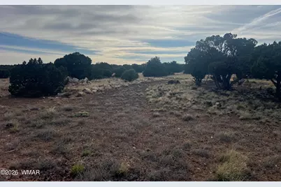 Lot 93 N8492, Concho, AZ 85924 - Photo 33