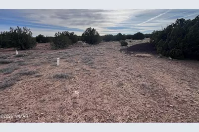 Lot 93 N8492, Concho, AZ 85924 - Photo 5