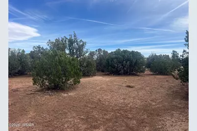 Lot 93 N8492, Concho, AZ 85924 - Photo 25