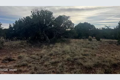 Lot 93 N8492, Concho, AZ 85924 - Photo 21