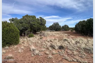 Lot 93 N8492, Concho, AZ 85924 - Photo 47