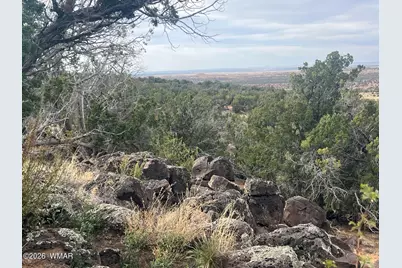 Lot 93 N8492, Concho, AZ 85924 - Photo 39