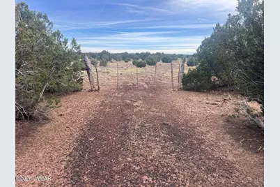 Lot 93 N8492, Concho, AZ 85924 - Photo 11