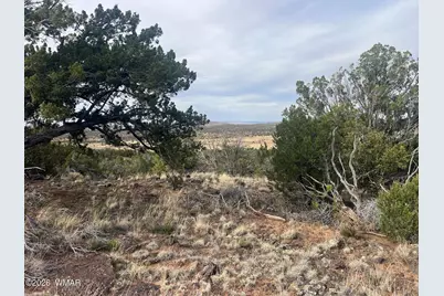 Lot 93 N8492, Concho, AZ 85924 - Photo 43