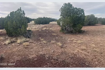 Lot 93 N8492, Concho, AZ 85924 - Photo 31