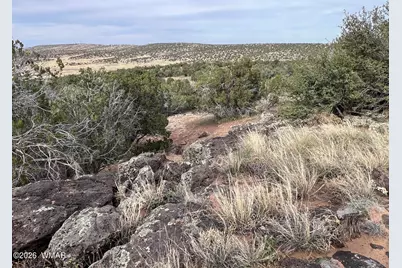 Lot 93 N8492, Concho, AZ 85924 - Photo 41