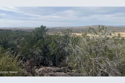 Lot 93 N8492, Concho, AZ 85924 - Photo 13