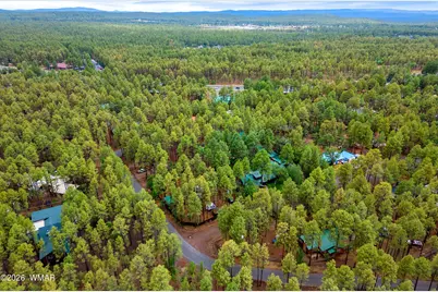 417 W Springtime Drive, Lakeside, AZ 85929 - Photo 53