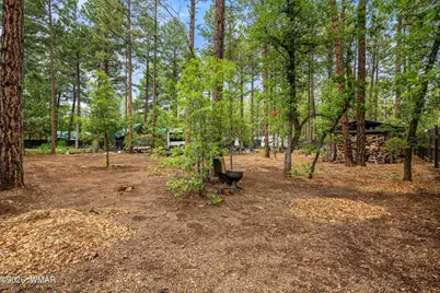 417 W Springtime Drive, Lakeside, AZ 85929 - Photo 47