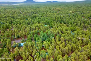 417 W Springtime Dr, Lakeside, AZ 85929 - Photo 51