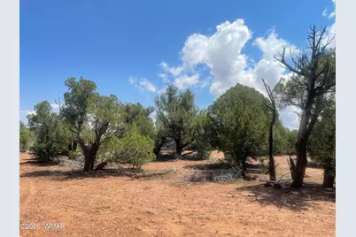 4934 Elk Trail Road, Clay Springs, AZ 85923 - Photo 11