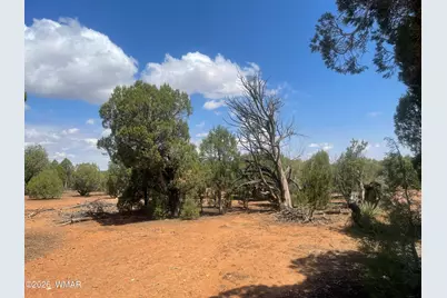 4934 Elk Trail Road, Clay Springs, AZ 85923 - Photo 15