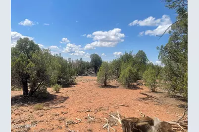 4934 Elk Trail Road, Clay Springs, AZ 85923 - Photo 19