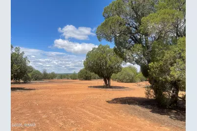 4934 Elk Trail Road, Clay Springs, AZ 85923 - Photo 7