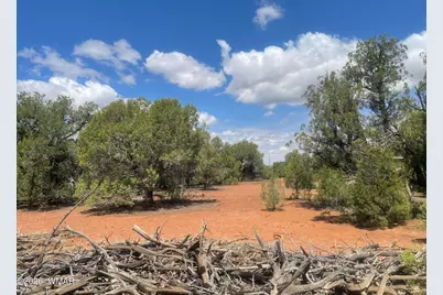 4934 Elk Trail Road, Clay Springs, AZ 85923 - Photo 21