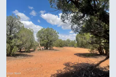 4934 Elk Trail Road, Clay Springs, AZ 85923 - Photo 5