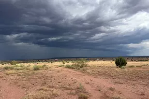 8368 Charolais, Snowflake, AZ 85937 - Photo 27