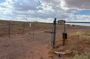 8368 Charolais, Snowflake, AZ 85937 - Photo 29