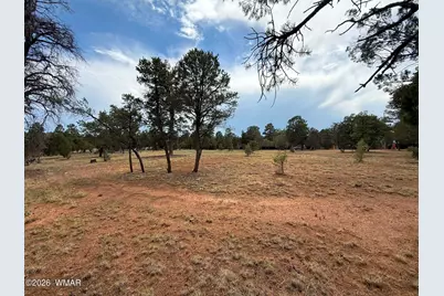 3048 Chevelon Road, Overgaard, AZ 85933 - Photo 1