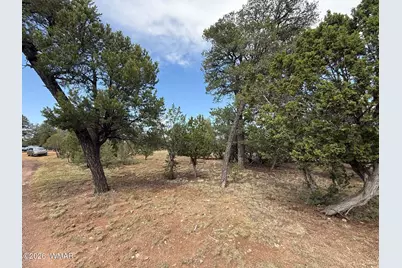 3048 Chevelon Road, Overgaard, AZ 85933 - Photo 5