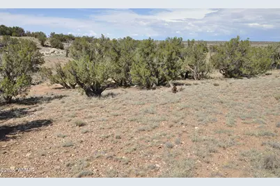 19C &amp; D County Rd N9033, Concho, AZ 85924 - Photo 19