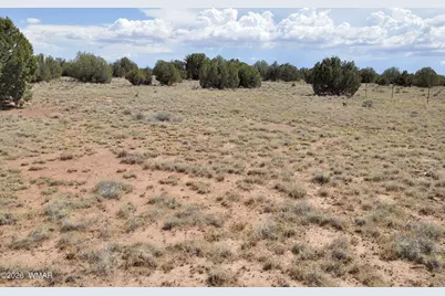 19C &amp; D County Rd N9033, Concho, AZ 85924 - Photo 5