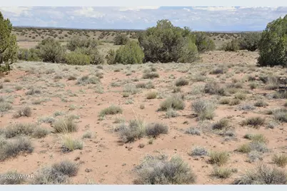 19C &amp; D County Rd N9033, Concho, AZ 85924 - Photo 1