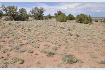 19C &amp; D County Rd N9033, Concho, AZ 85924 - Photo 21
