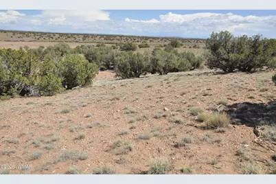 19C &amp; D County Rd N9033, Concho, AZ 85924 - Photo 13