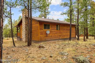 38703 Arizona 373, Greer, AZ 85927 - Photo 35
