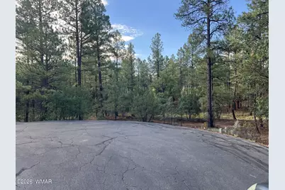 4161 W Wild Iris Lane, Show Low, AZ 85901 - Photo 3