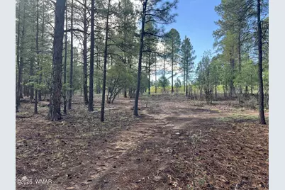 4161 W Wild Iris Lane, Show Low, AZ 85901 - Photo 5